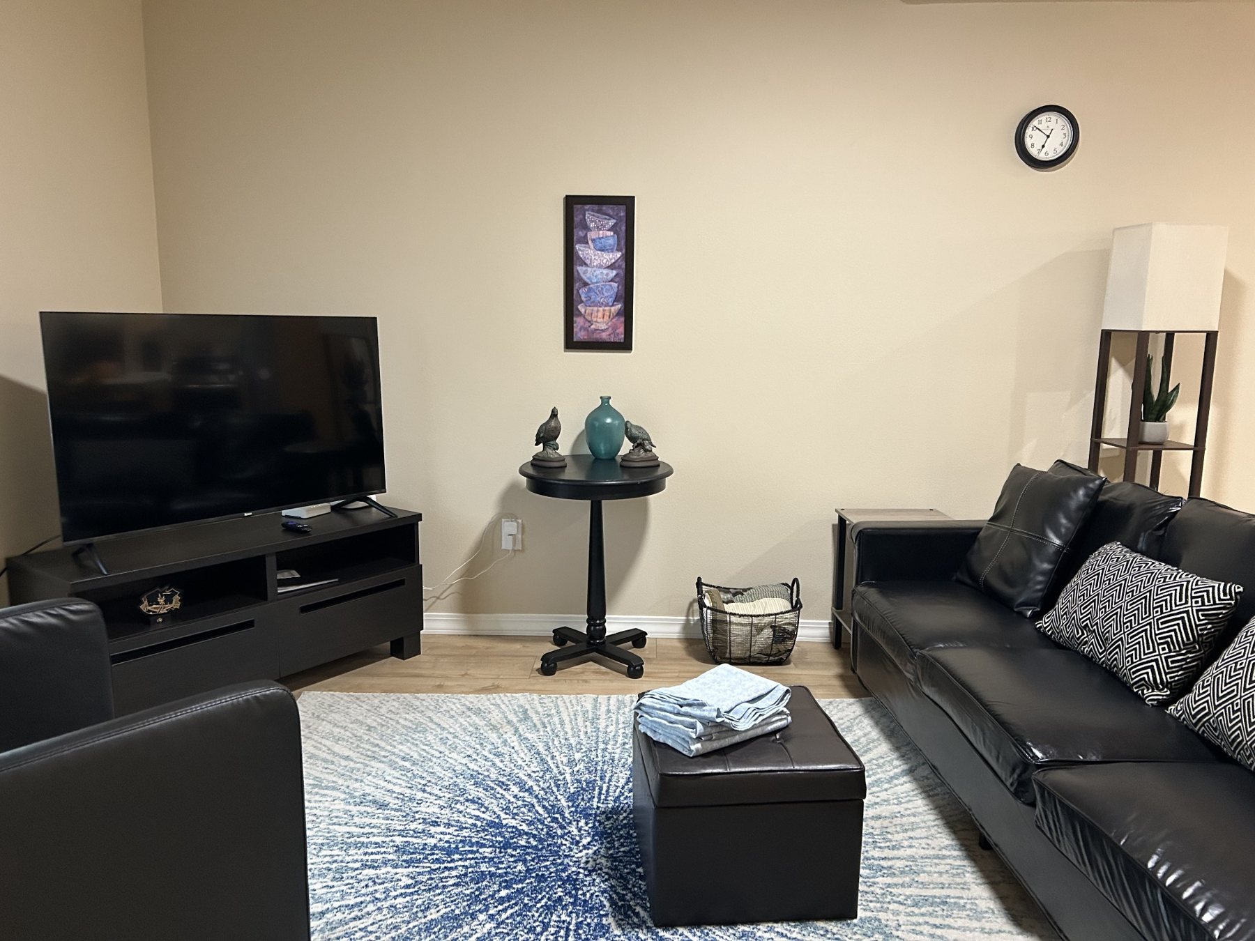 Living room with television