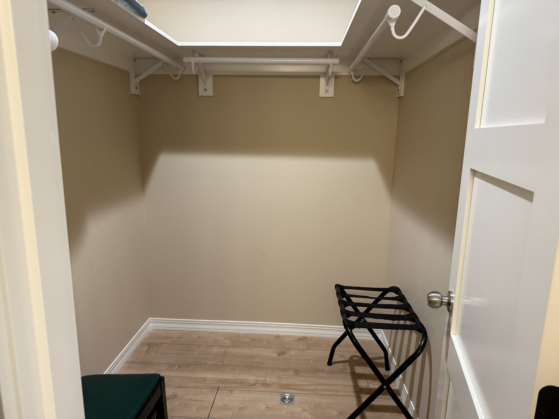 Closet with luggage rack
