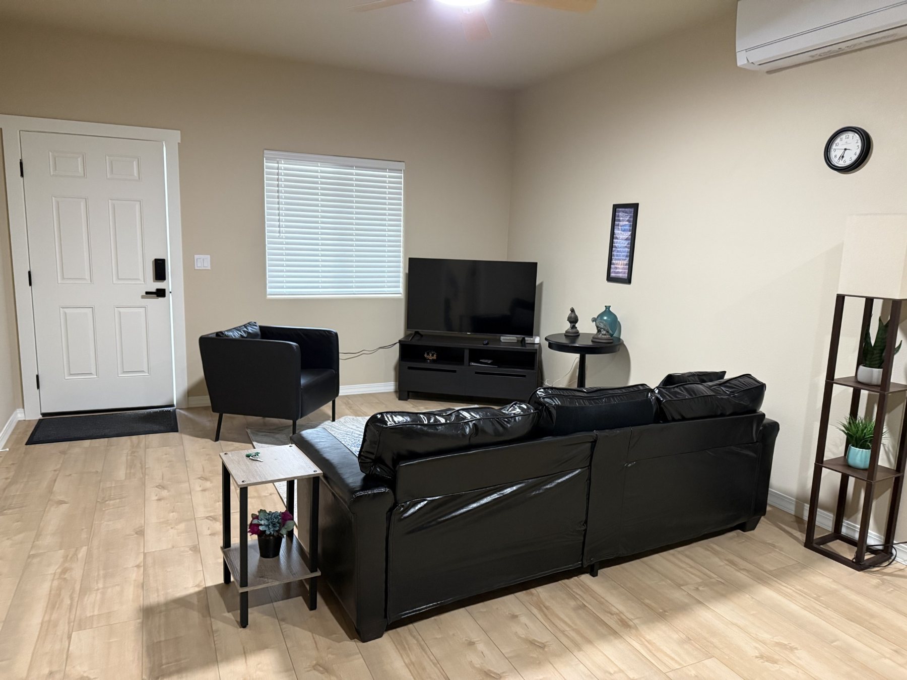 Living room and entry